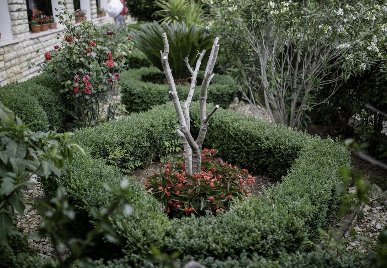 Apartment in Kampor - Petra Sea View Apartment 5