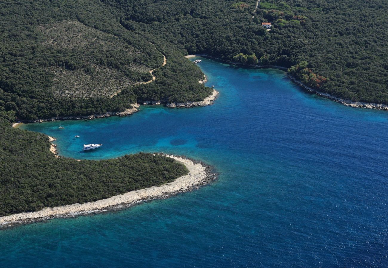 Apartment in Supetarska Draga - Apartment Nikolina 1 with Sea View