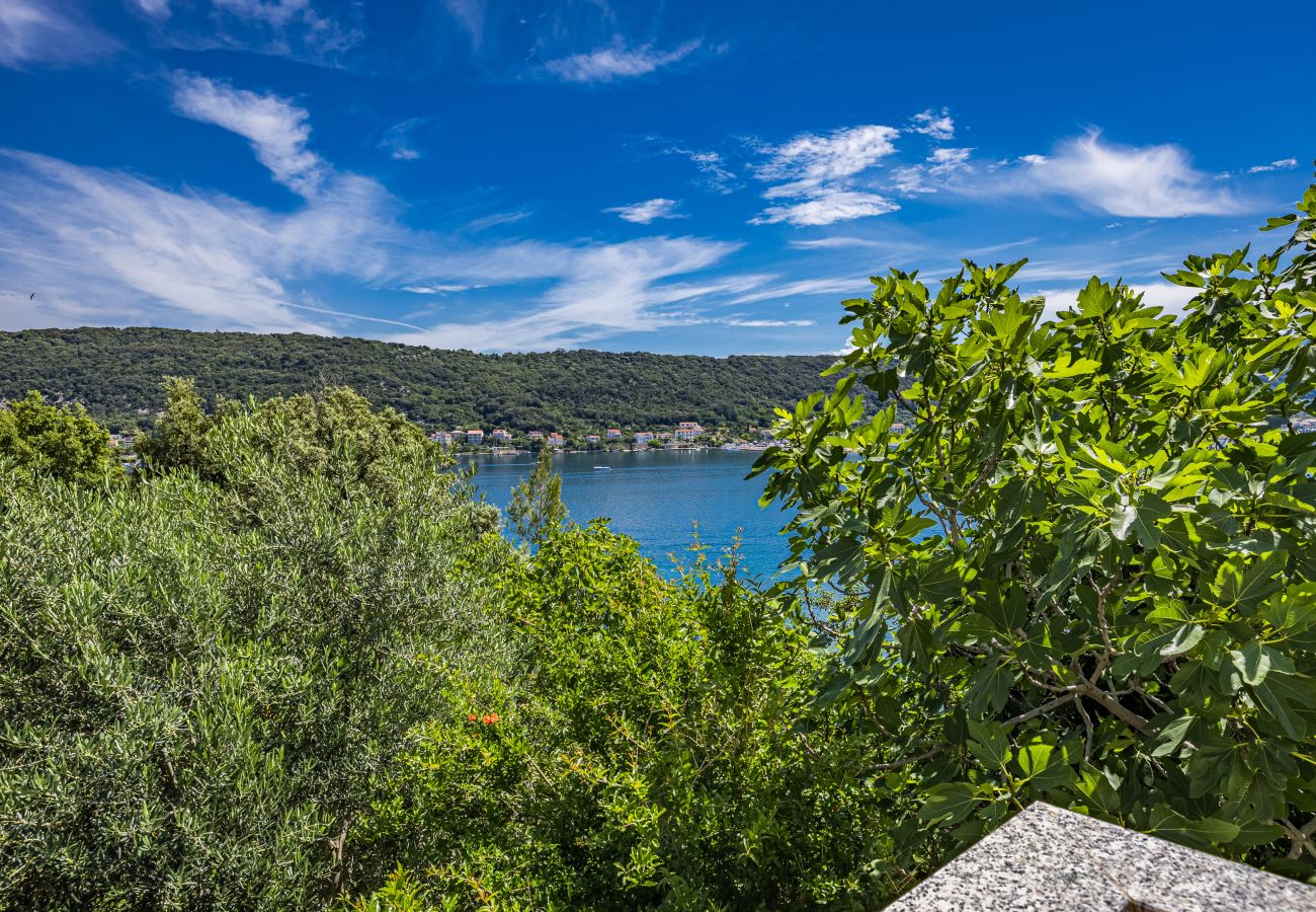 Apartment in Supetarska Draga - Apartment Nikolina 2 with Sea View