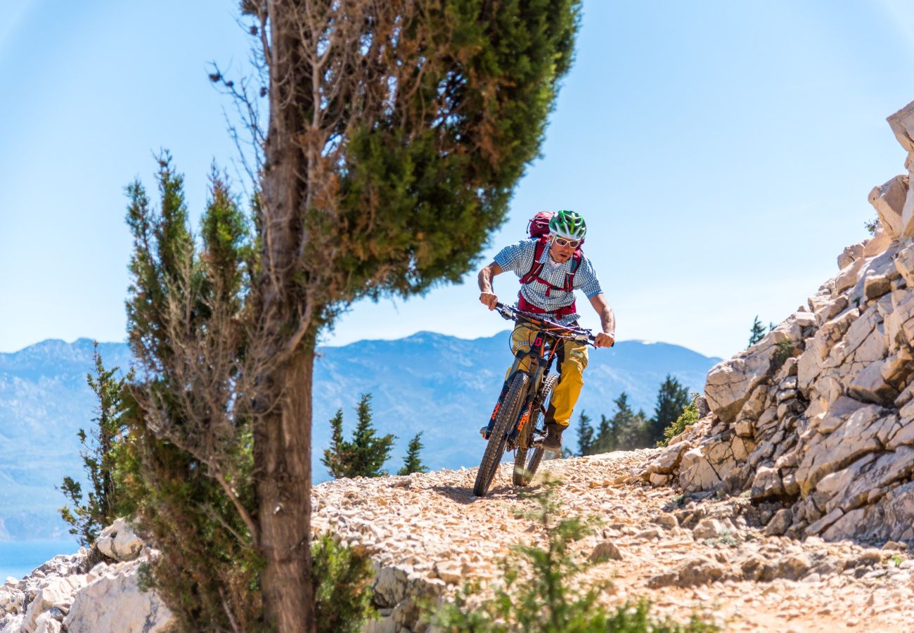 Apartment in Supetarska Draga - Apartment Nikolina 6 with Sea View