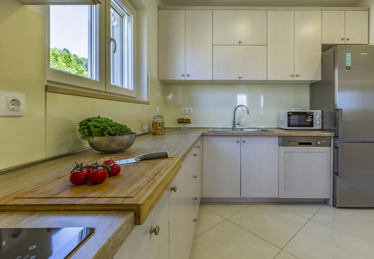 Villa in Pula - Lotus Elite Villa with Pool & Jacuzzi 2