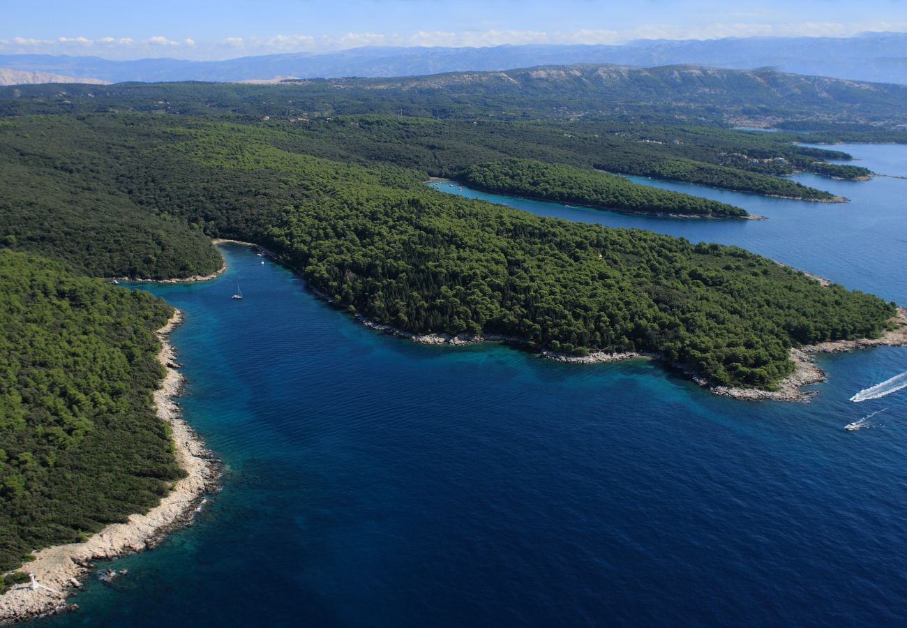 Apartment in Kampor - Two Bedroom Apartment near the Beach - Villa Jagoda