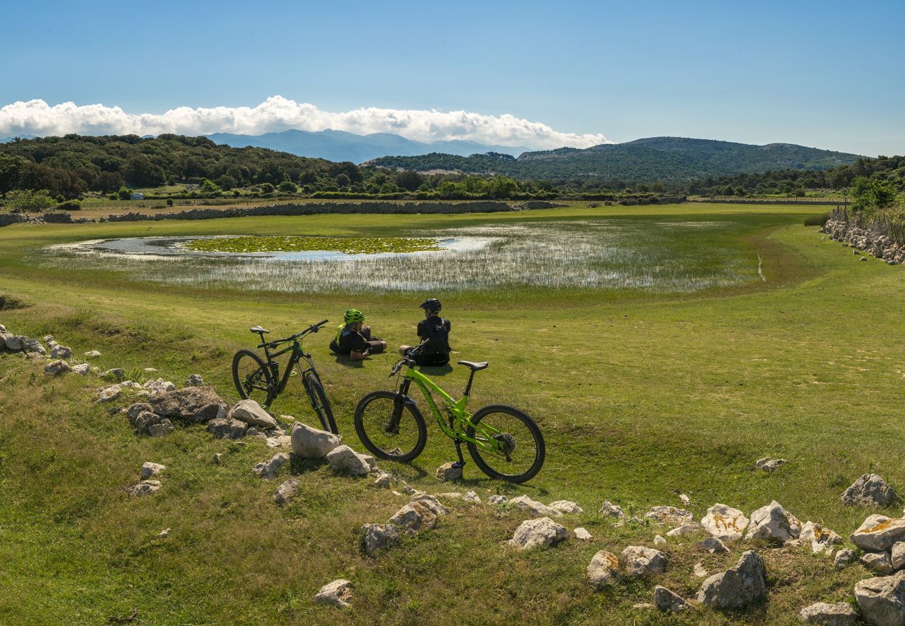 Apartment in Supetarska Draga - Apartment Nikolina 3 with Sea View