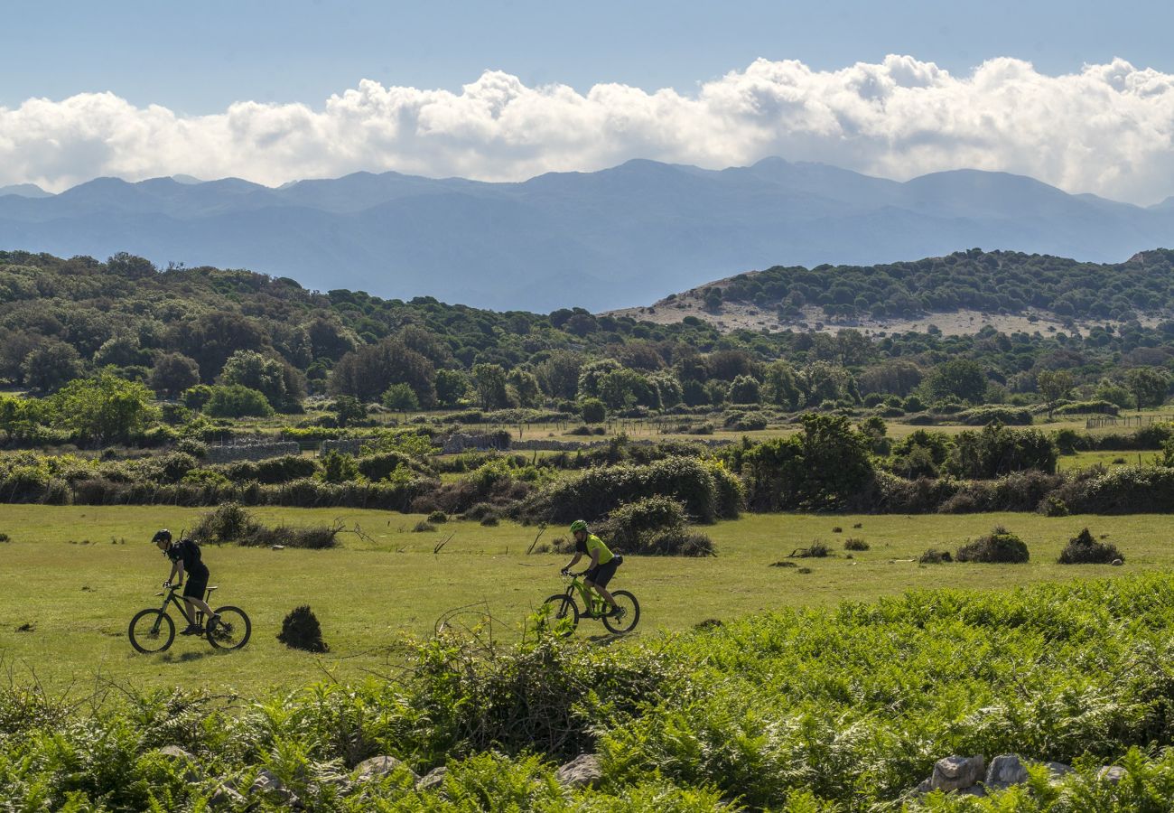 Studio in Supetarska Draga - Studio Nikolina 5 with Sea View