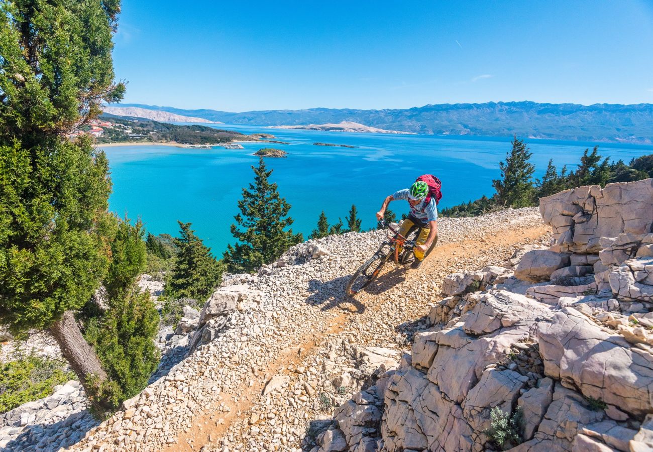 Studio in Supetarska Draga - Studio Nikolina 5 with Sea View