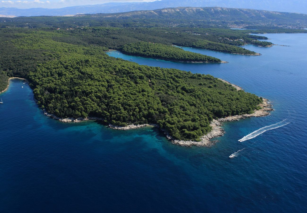 Studio in Supetarska Draga - Studio Nikolina 5 with Sea View