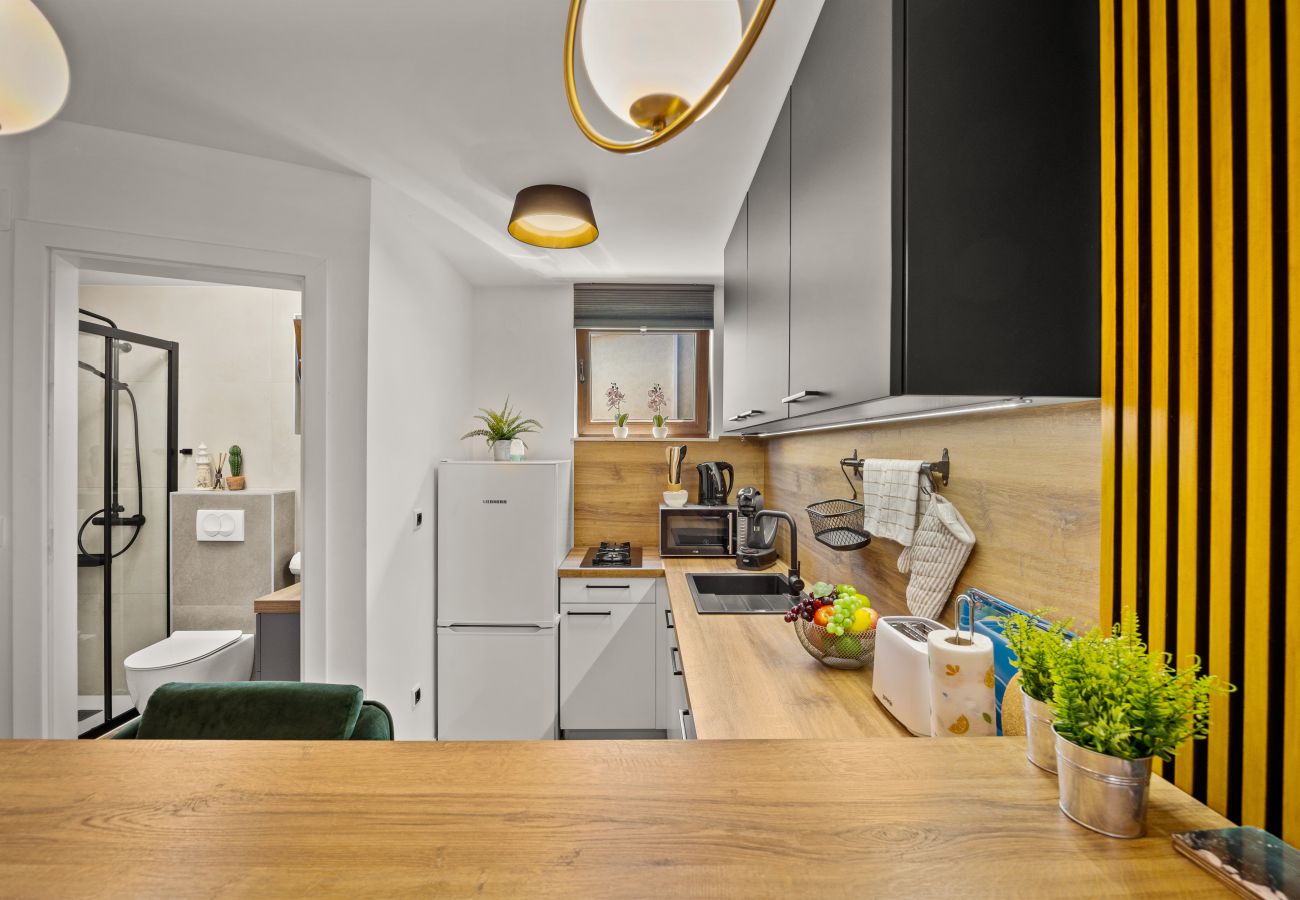 Studio in Funtana - Sea Breeze Funtana Studio Apartment A10