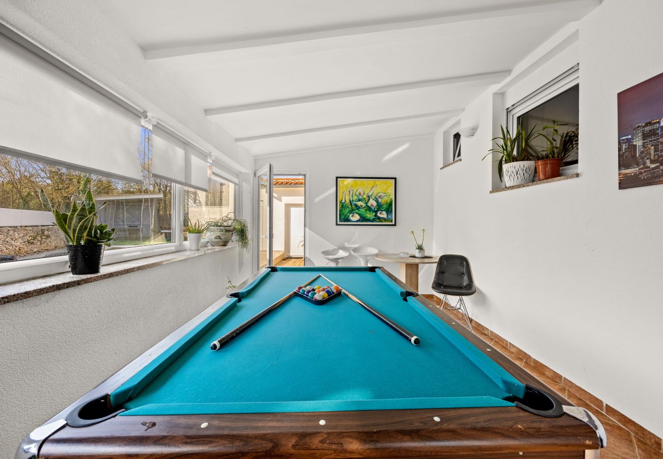 House in Vodnjan - Kacana Blue - House with Pool, Billiards and Darts