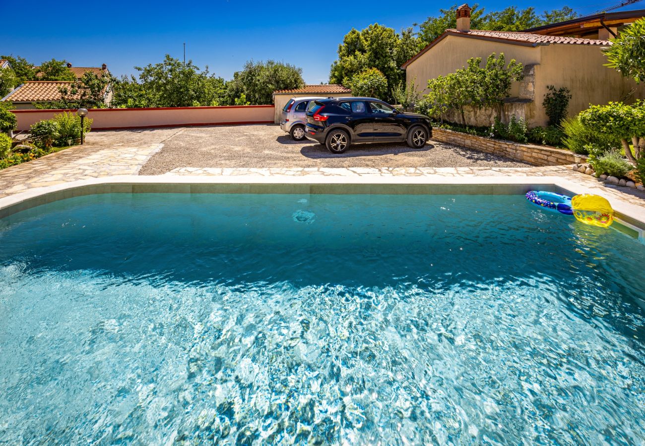 Apartment in Ližnjan - Pool Apartment Franko 1 - Shared Pool