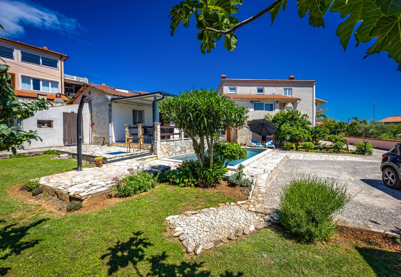 Apartment in Ližnjan - Pool Apartment Franko 2 - Shared Pool