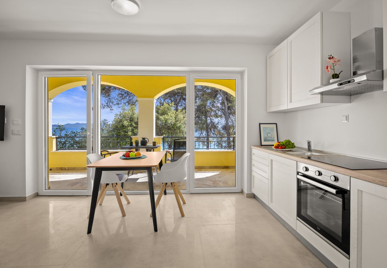 Studio in Petrcane - Beachfront Villa Nela - Studio apartment 12